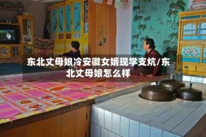 东北丈母娘冷安徽女婿现学支炕/东北丈母娘怎么样