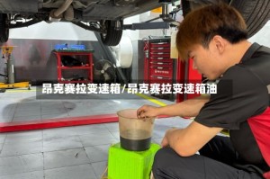昂克赛拉变速箱/昂克赛拉变速箱油