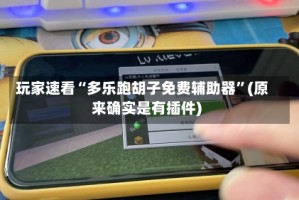 玩家速看“多乐跑胡子免费辅助器”(原来确实是有插件)