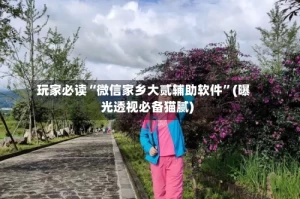 玩家必读“微信家乡大贰辅助软件”(曝光透视必备猫腻)