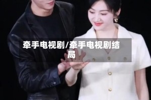 牵手电视剧/牵手电视剧结局
