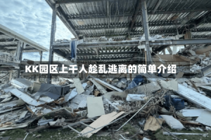 KK园区上千人趁乱逃离的简单介绍