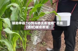 辅助神器“心悦斗地主有挂吗”开挂(透视)辅助教程