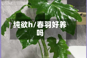 纯欲h/春羽好养吗
