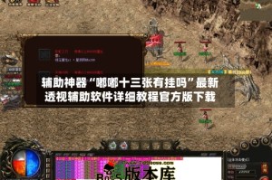 辅助神器“嘟嘟十三张有挂吗”最新透视辅助软件详细教程官方版下载