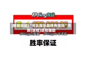 [教程经验]“河北微乐麻将有挂吗”作弊(透视)透视辅助