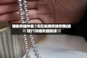 辅助开挂神器“今日长牌开挂作弊(透视)”详细开挂玩法