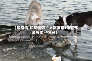 【印疫情,印疫情死亡人数激增!新冠死者被抛尸恒河】