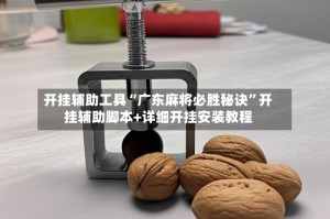 开挂辅助工具“广东麻将必胜秘诀”开挂辅助脚本+详细开挂安装教程