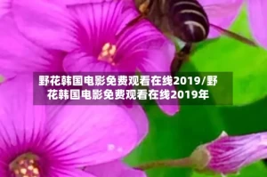 野花韩国电影免费观看在线2019/野花韩国电影免费观看在线2019年