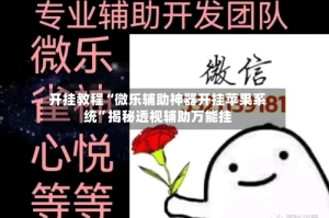 开挂教程“微乐辅助神器开挂苹果系统”揭秘透视辅助万能挂