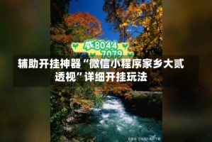 辅助开挂神器“微信小程序家乡大贰透视”详细开挂玩法