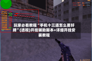 玩家必看教程“手机十三道怎么要好牌”(透视)开挂辅助脚本+详细开挂安装教程