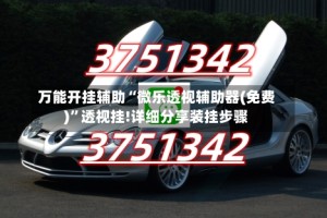 万能开挂辅助“微乐透视辅助器(免费)”透视挂!详细分享装挂步骤