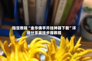 指定教程“金华佛手开挂神器下载”详细分享装挂步骤教程