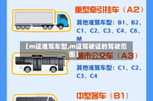 【m证准驾车型,m证驾驶证的驾驶范围】