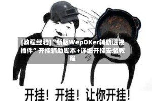 [教程经验]“新版WepOKer辅助透视插件”开挂辅助脚本+详细开挂安装教程