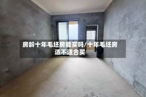 房龄十年毛坯房能买吗/十年毛坯房适不适合买