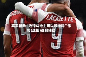 真实辅助“边锋斗地主可以装挂吗”作弊(透视)透视辅助