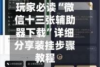 玩家必读“微信十三张辅助器下载”详细分享装挂步骤教程