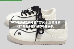 2026最新助赢神器“方片十三张辅助器”开挂科技辅助神器手机