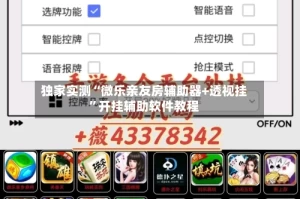 独家实测“微乐亲友房辅助器+透视挂”开挂辅助软件教程