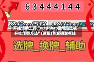 开挂辅助工具“wepoker德州局透视开挂作弊方法”(透视)其实确实有挂
