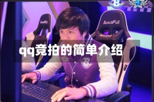 qq竞拍的简单介绍
