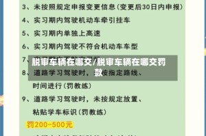脱审车辆在哪交/脱审车辆在哪交罚款