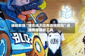 辅助教程“博乐填大坑有透视挂吗”详细教程辅助工具