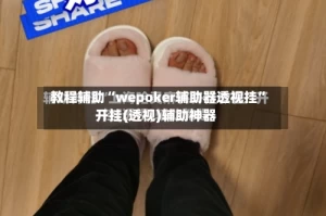 教程辅助“wepoker辅助器透视挂”开挂(透视)辅助神器