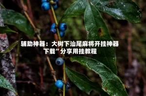 辅助神器：大树下汕尾麻将开挂神器下载”分享用挂教程