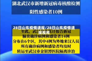 28日山东疫情速报/28日山东疫情速报视频