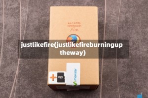 justlikefire(justlikefireburninguptheway)