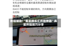 教程辅助!“蜀渝牌乐汇开挂神器”真实开挂技巧分享
