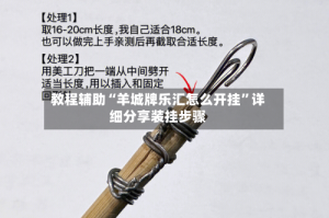 教程辅助“羊城牌乐汇怎么开挂”详细分享装挂步骤