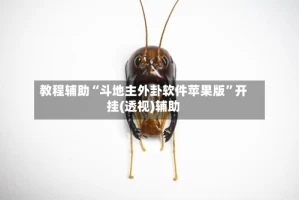 教程辅助“斗地主外卦软件苹果版”开挂(透视)辅助