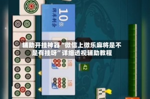 辅助开挂神器“微信上微乐麻将是不是有挂呀”详细透视辅助教程