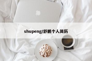 shupeng/舒鹏个人简历