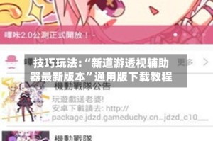 技巧玩法:“新道游透视辅助器最新版本”通用版下载教程