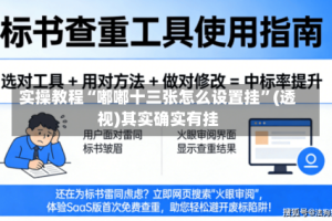 实操教程“嘟嘟十三张怎么设置挂”(透视)其实确实有挂