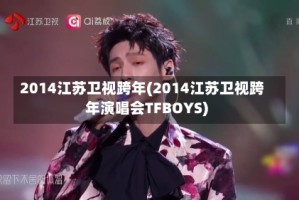 2014江苏卫视跨年(2014江苏卫视跨年演唱会TFBOYS)
