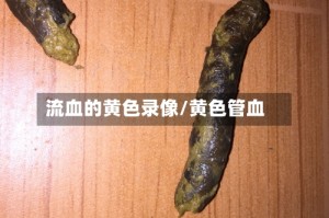 流血的黄色录像/黄色管血