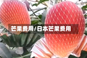 芒果费用/日本芒果费用