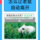 驱赶老鼠的方法(驱赶老鼠的方法有哪些)