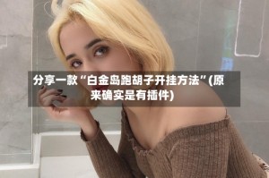 分享一款“白金岛跑胡子开挂方法”(原来确实是有插件)