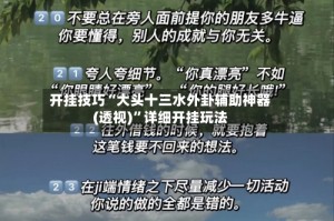 开挂技巧“大头十三水外卦辅助神器(透视)”详细开挂玩法