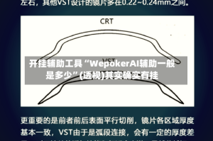 开挂辅助工具“WepokerAI辅助一般是多少”(透视)其实确实有挂