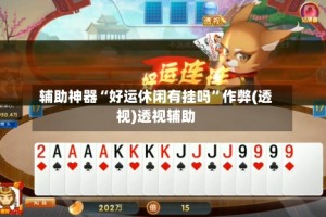 辅助神器“好运休闲有挂吗”作弊(透视)透视辅助