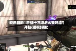 专用辅助“手机十三道怎么要好牌”开挂(透视)辅助